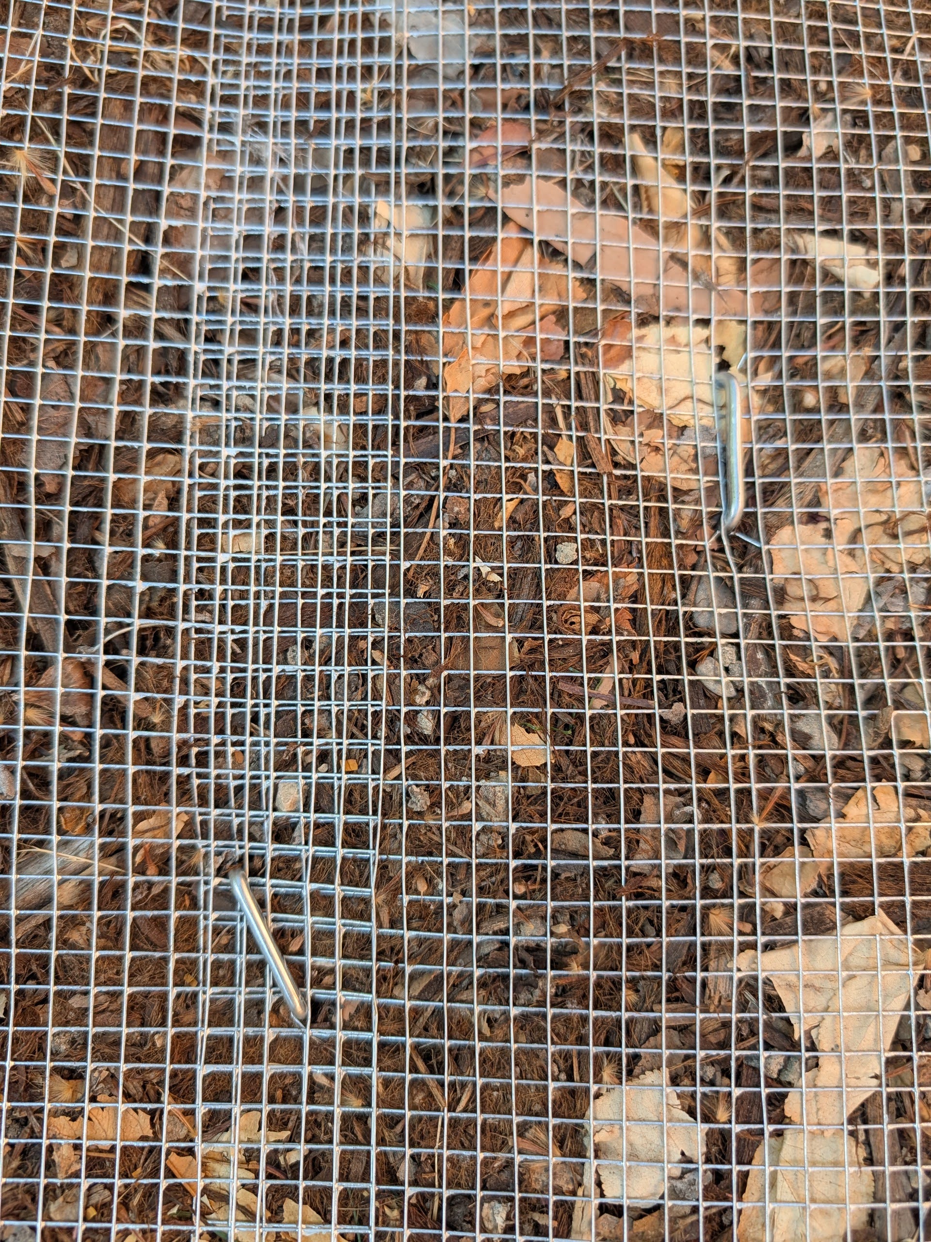 Close-up of hardware cloth barrier